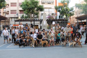 Paseo Perros Elda